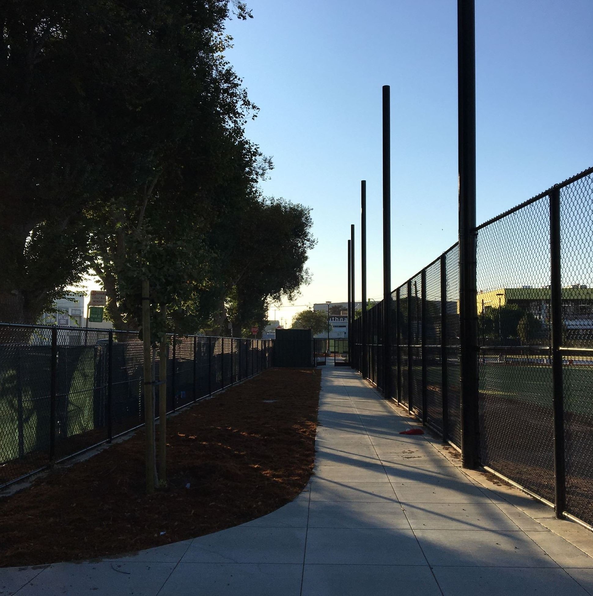 A newly planted tree, new black chain link fences and new cement pathways.