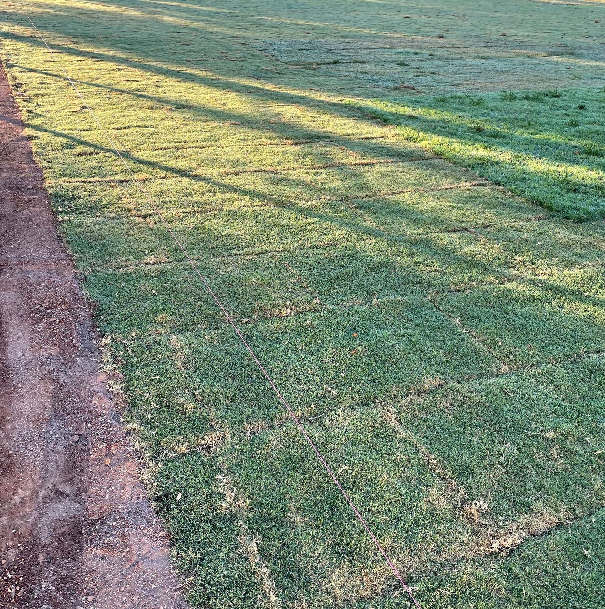 Newly installed sod pieces