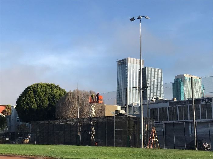 IMG_3758_newNettingStrung