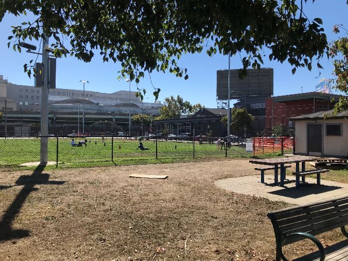 IMG_3776_BessiePEinTheBallField