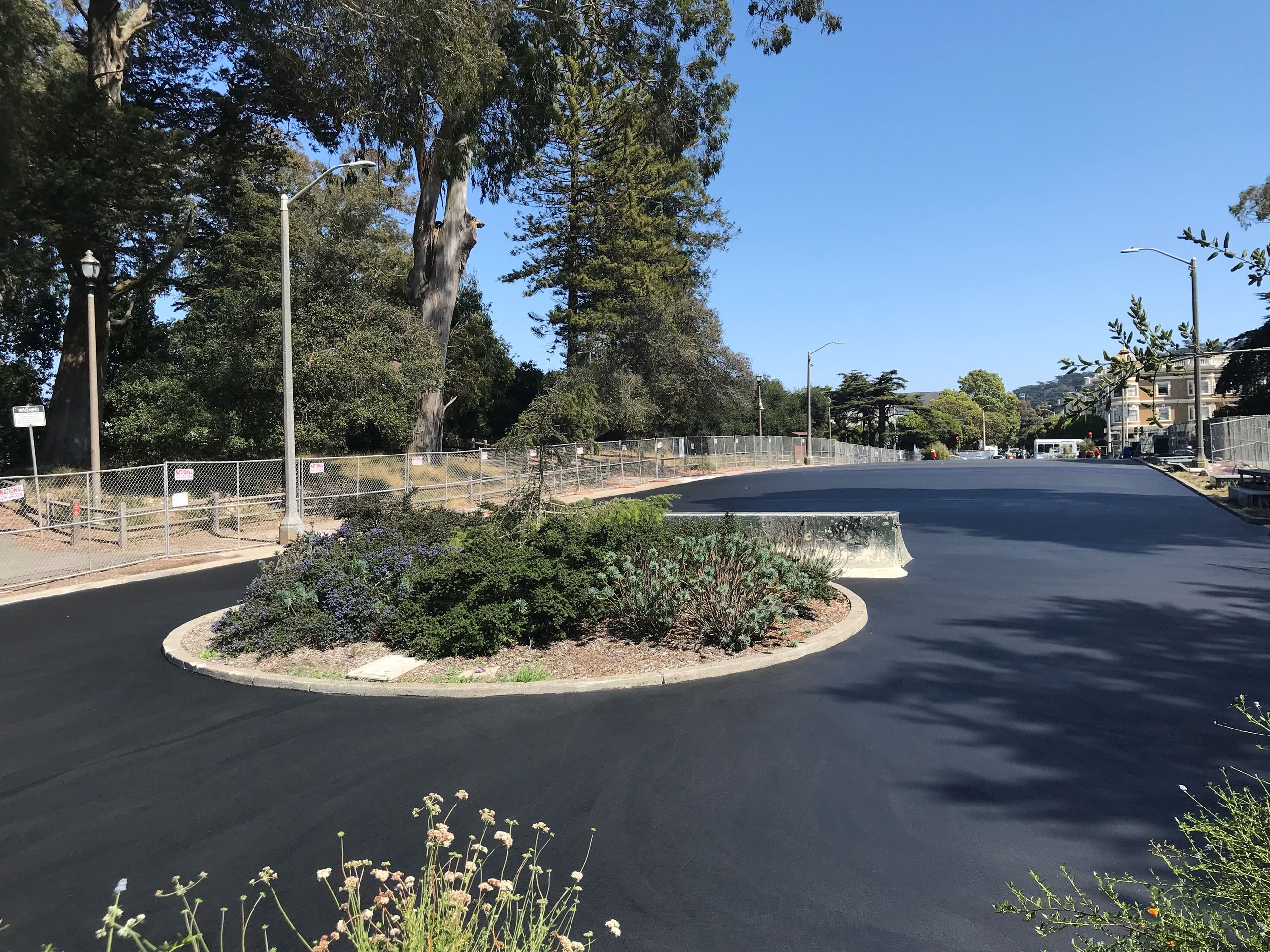 Round planter in the middle of newly poured asphalt with acrylic overlay