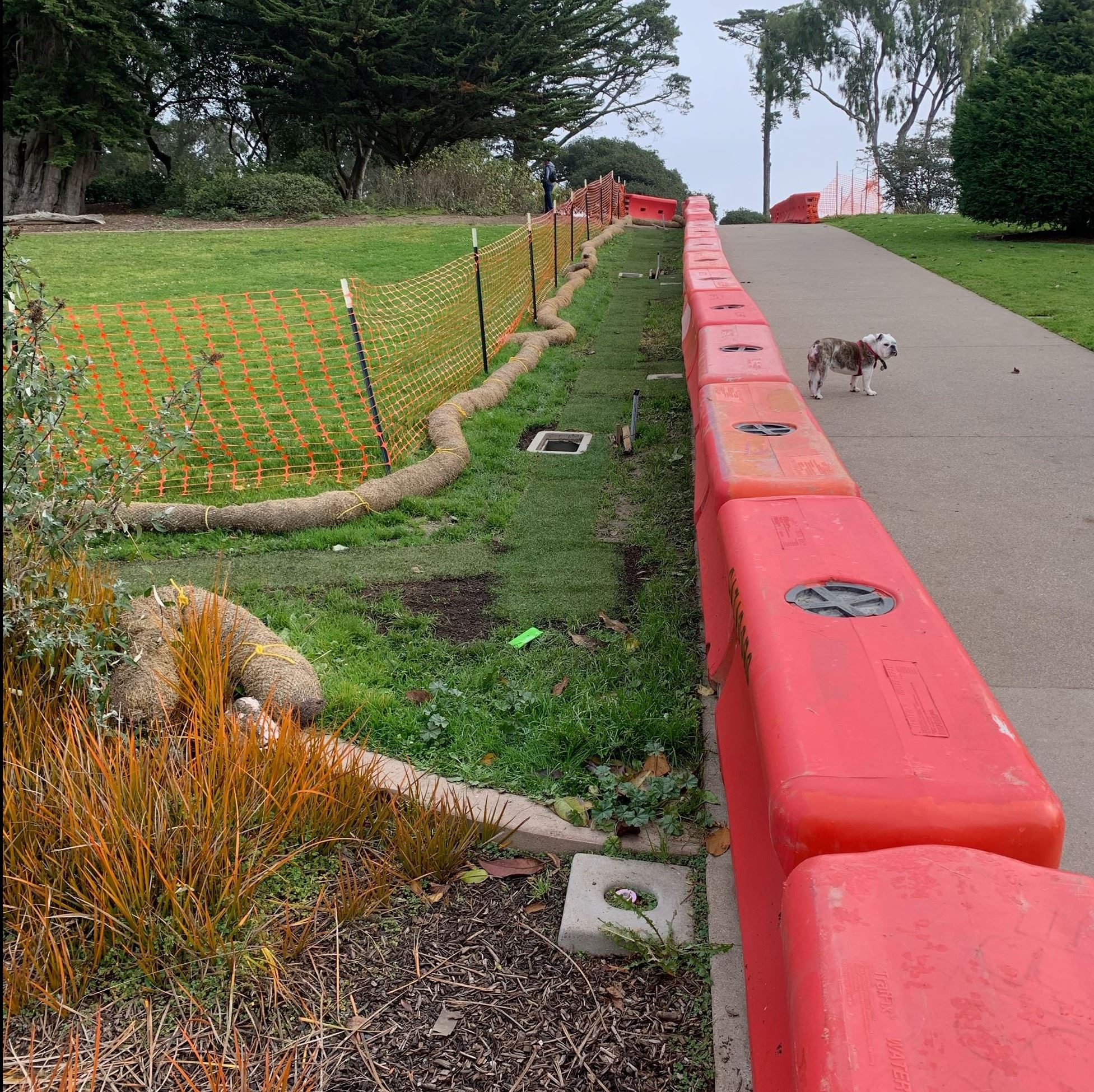 Orange barriers shown with backfill soil