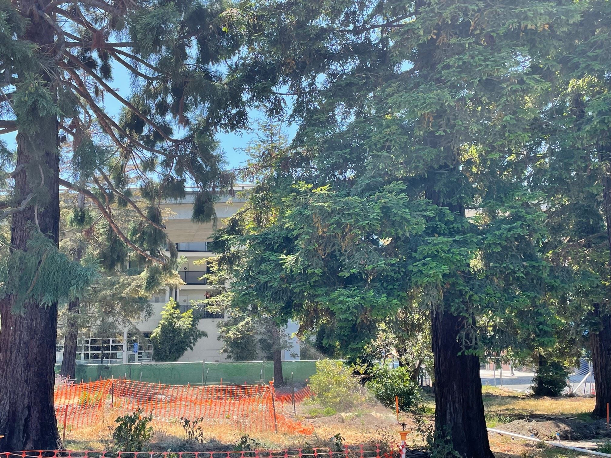 Esprit park construction - Site Watering 7.19.23