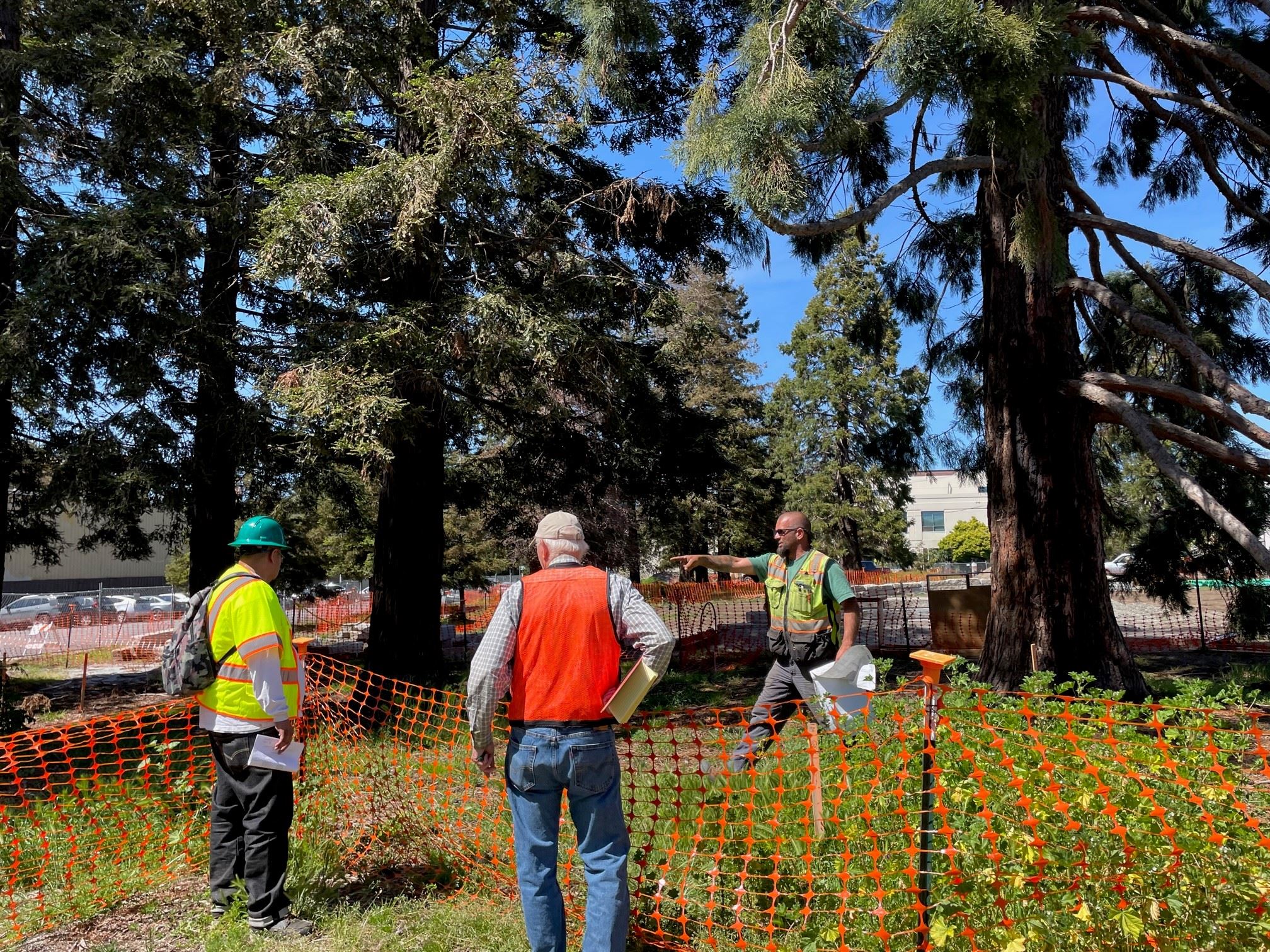 Esprit park construction - site visit Consulting Arborist, Contractor PM, and Superintendent_5.16.23