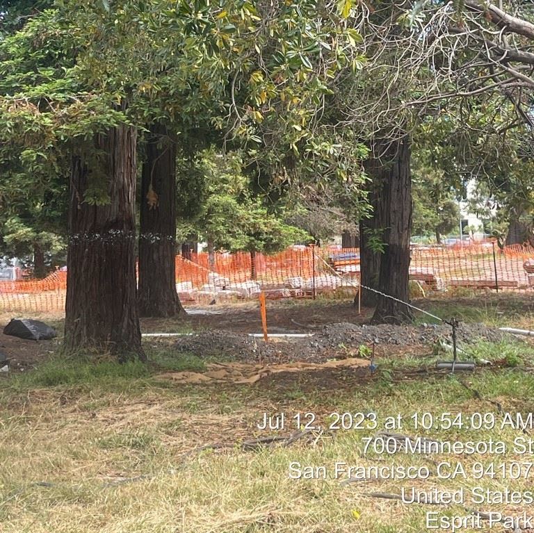 Esprit Park - construction - Watering Redwoods via sprinkler_July 2023