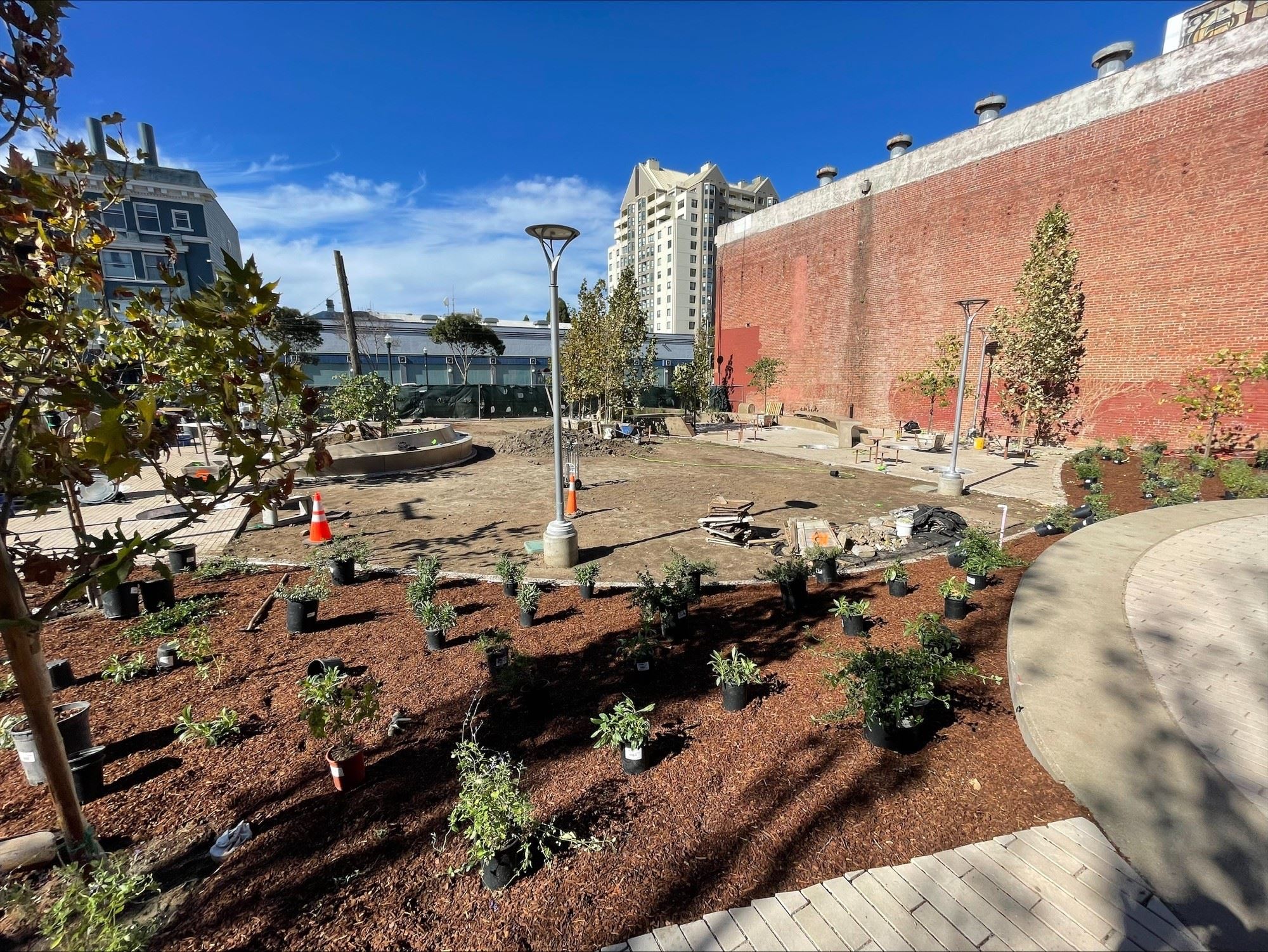 Fillmore Turk - Construction October 2023 - new landscaping (1)