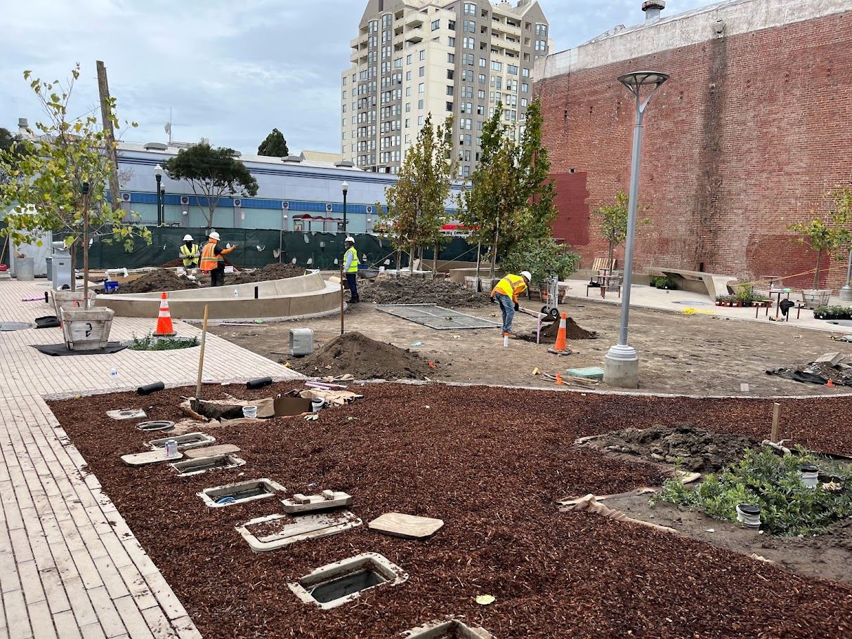 Fillmore Turk - Construction October 2023 - new landscaping (2)