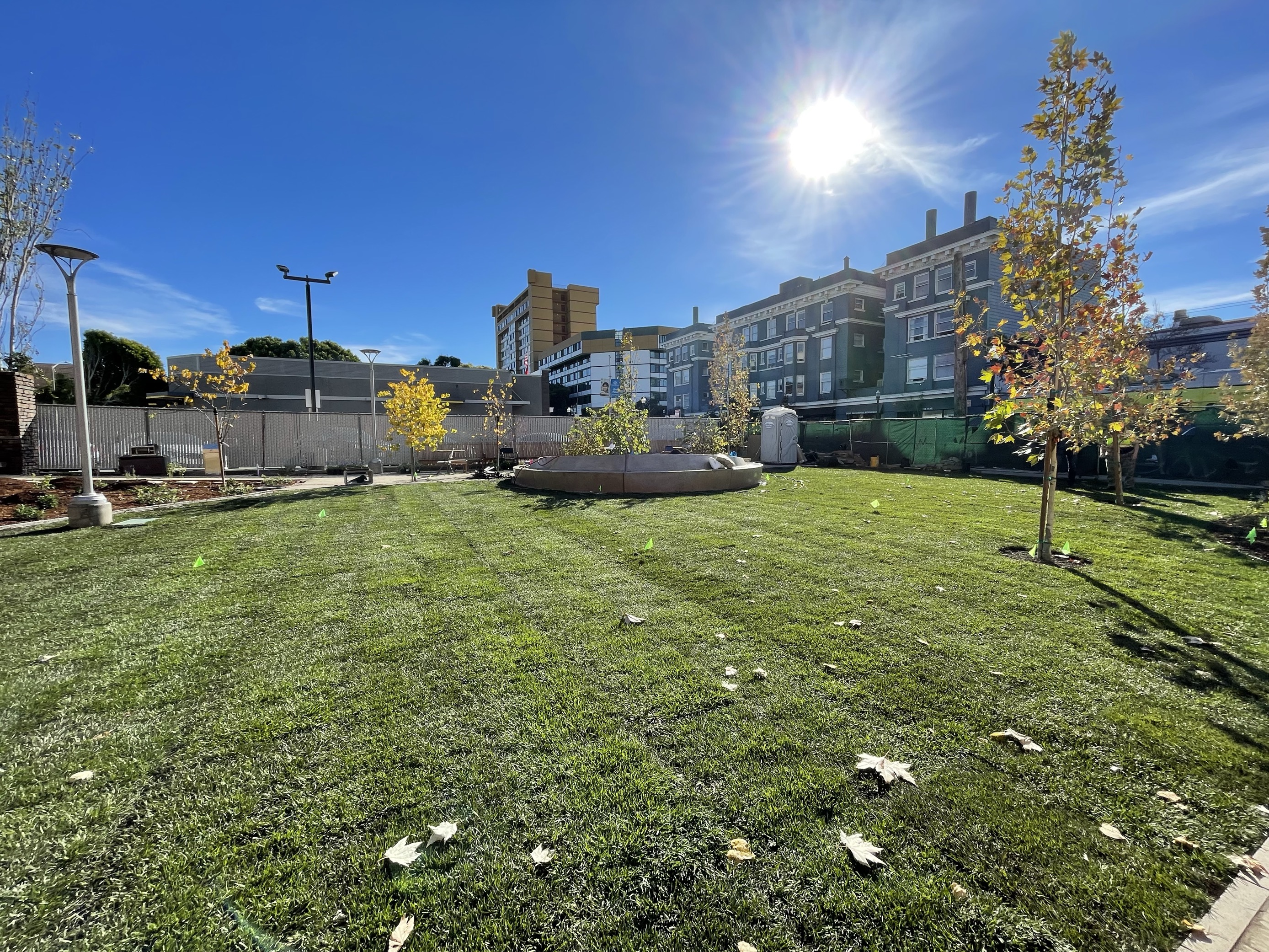 Fillmore Turk - Construction October 2023 - new landscaping (2)