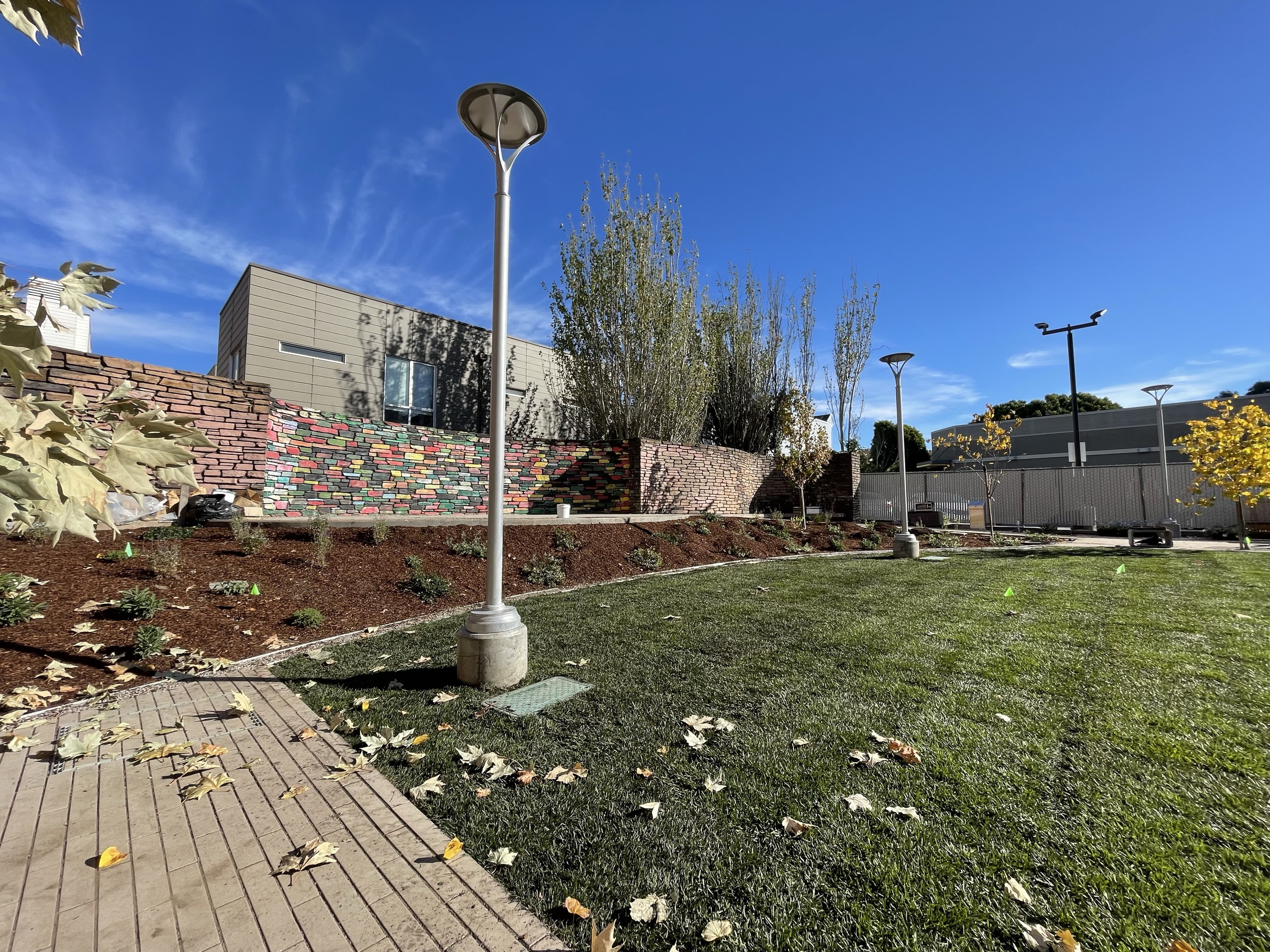 Fillmore Turk - Construction October 2023 - new landscaping (3)