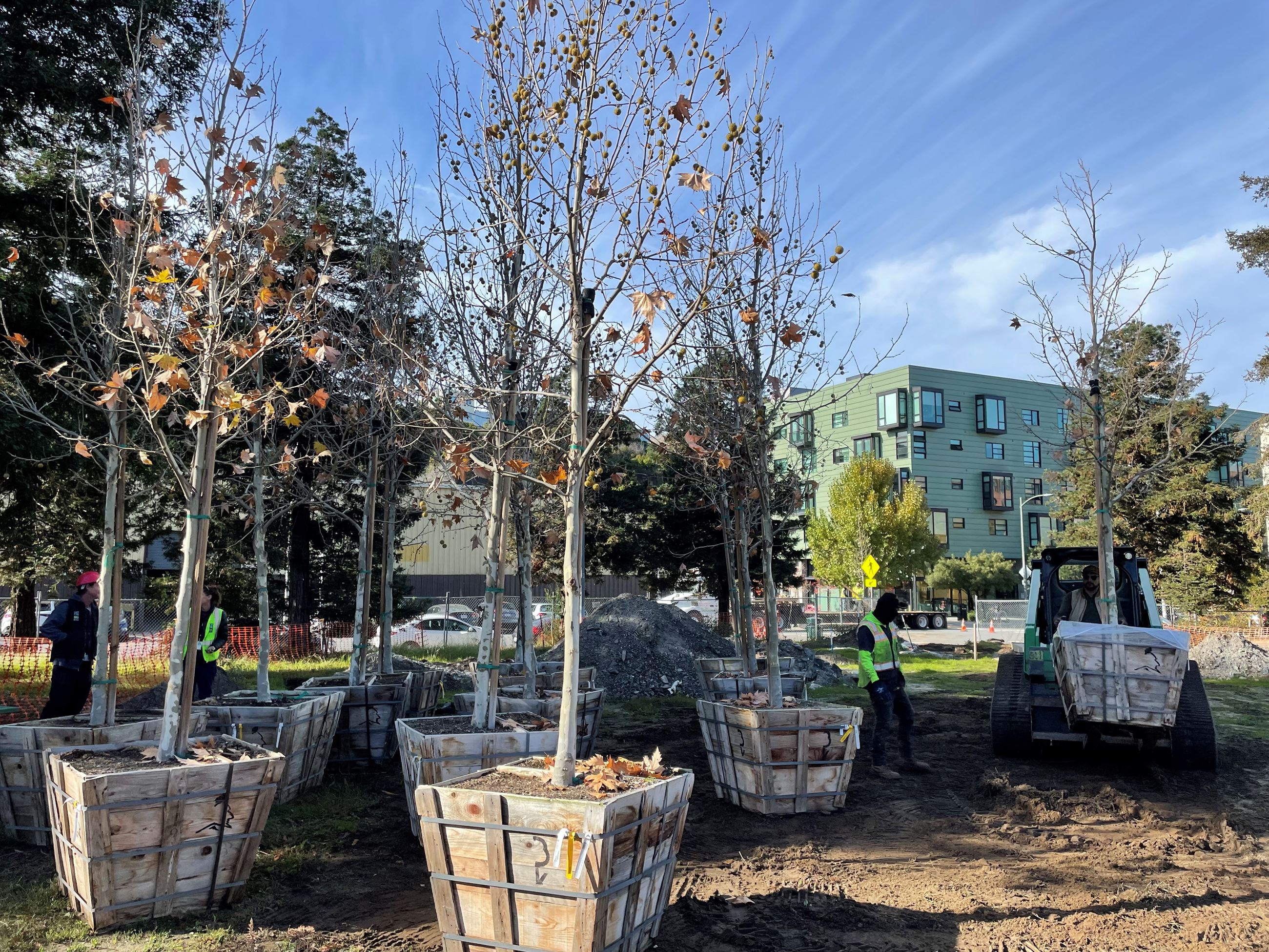 Esprit construction 2023 - Tree delivery 12.13.23