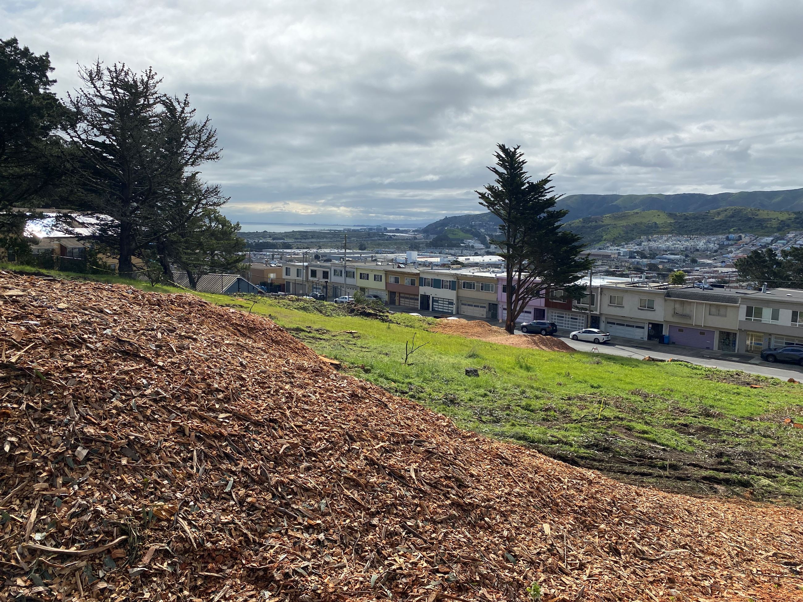 Hillside overlooking Visitacion Avenue with wood chips