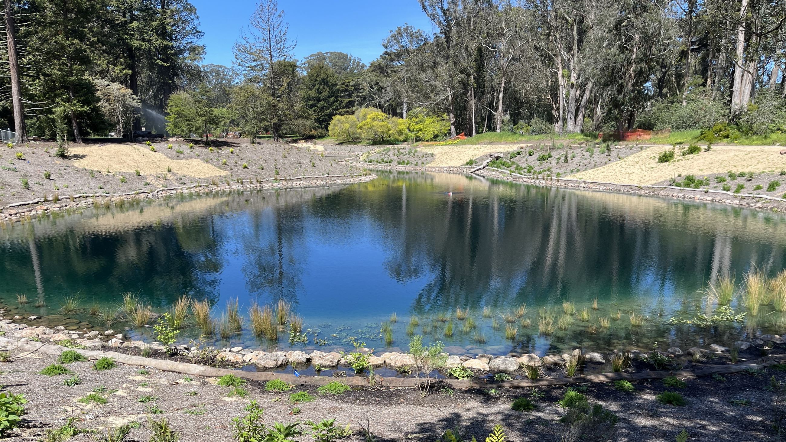Lake filled with water