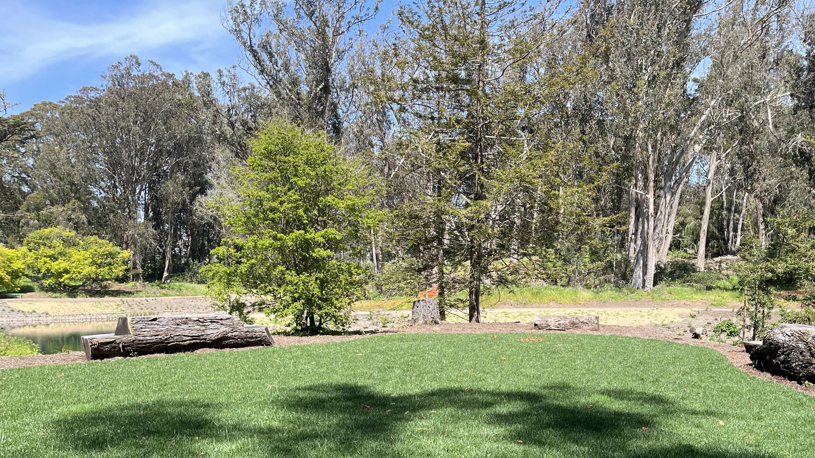 Lawn and new benches near the lake