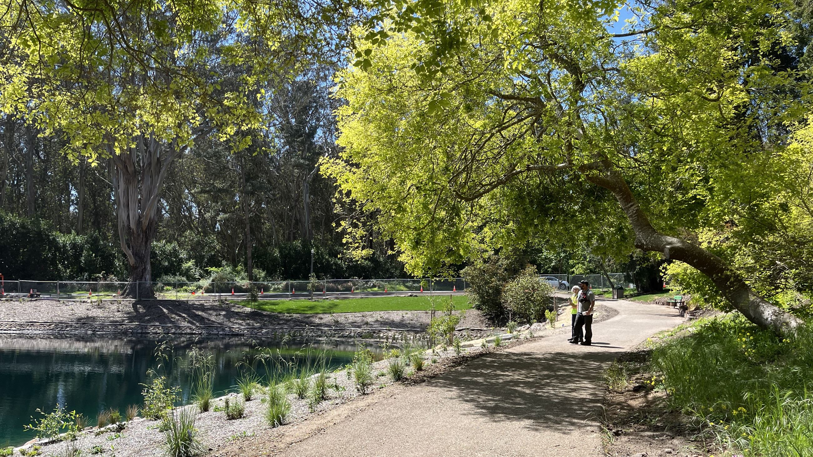 New trail around the lake with trees and new plantings