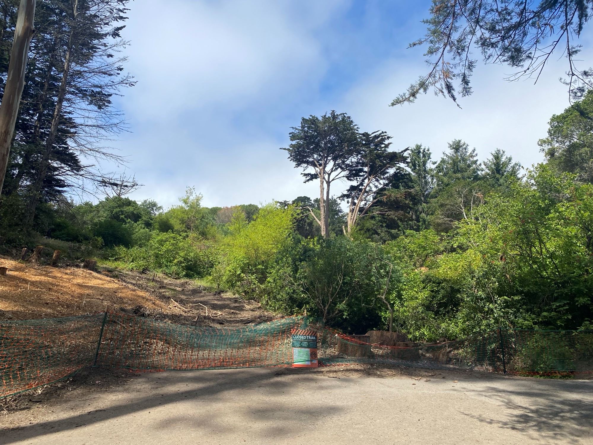 Construction fencing at tree removal area
