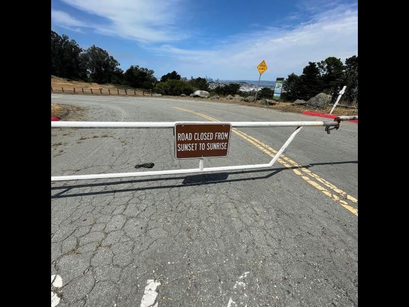 John Shelley Promenade August 2024 (3)