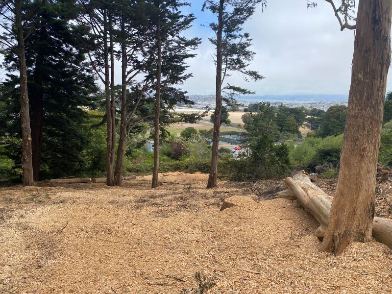 View of skyline from McLaren University Hill