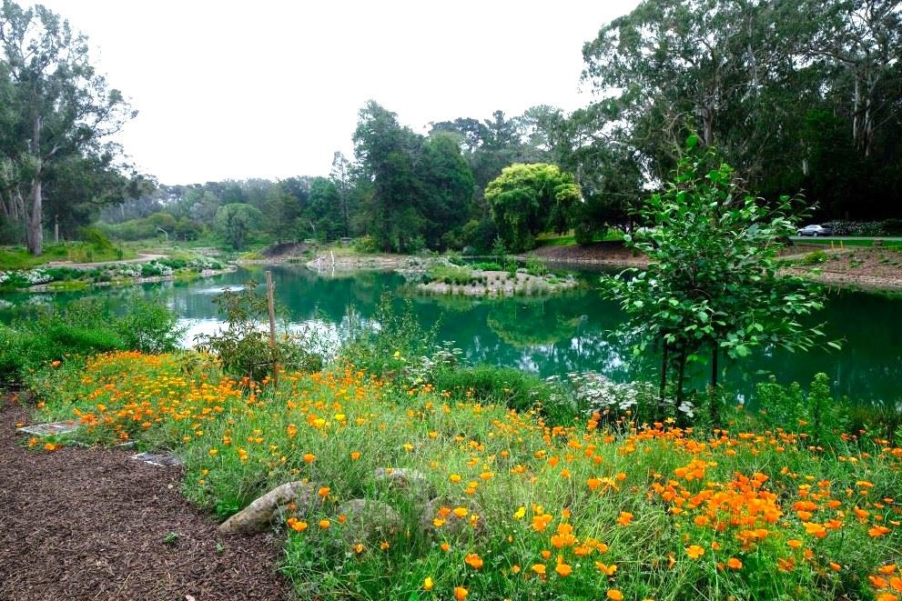 Middle Lake August 2024 lake and surrounding vegetation