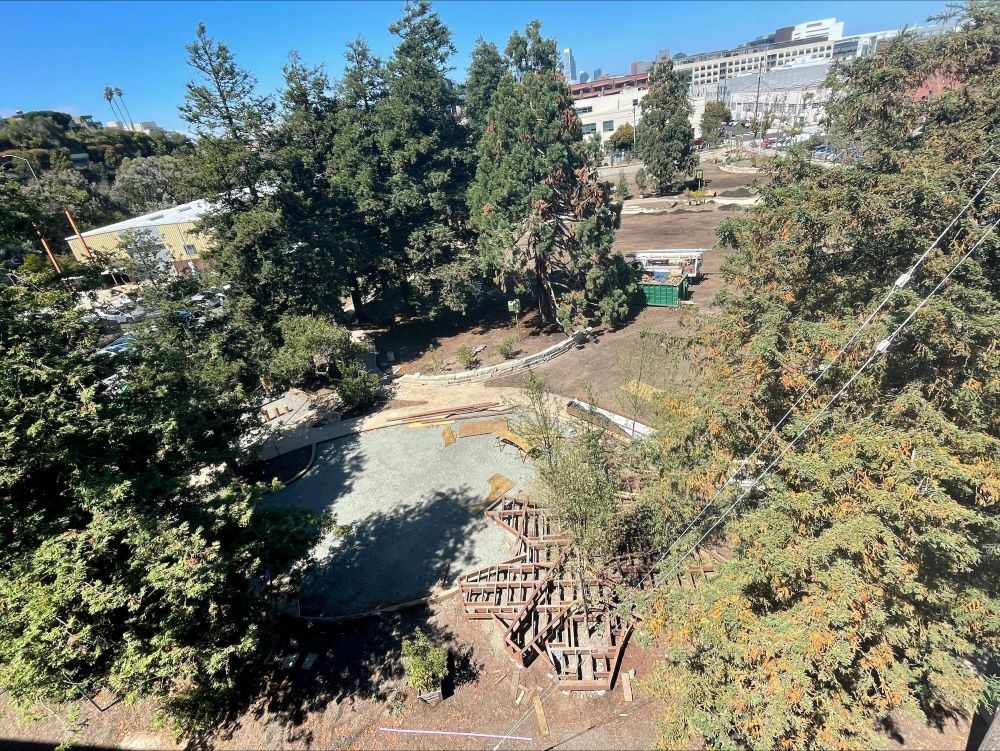 Aerial view of boardwalk
