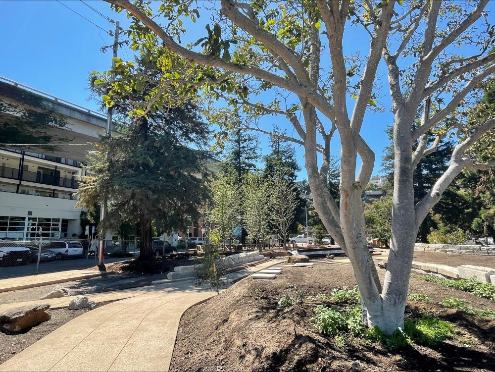 New pathway on south side of Esprit Park