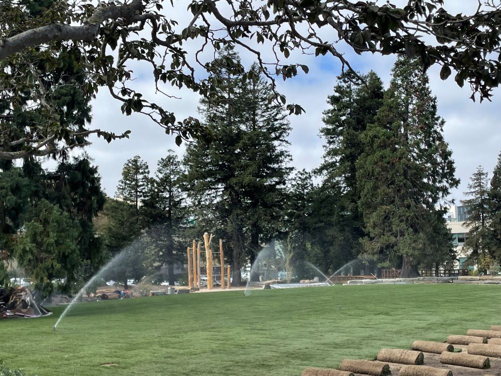 Esprit construction September 2024 - newly installed sod being watered