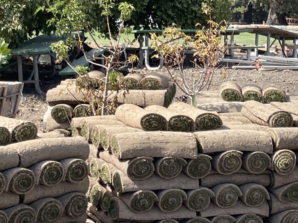 Esprit construction September 2024 - sod being installed