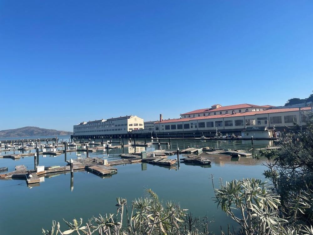 East Harbor Dock Removal