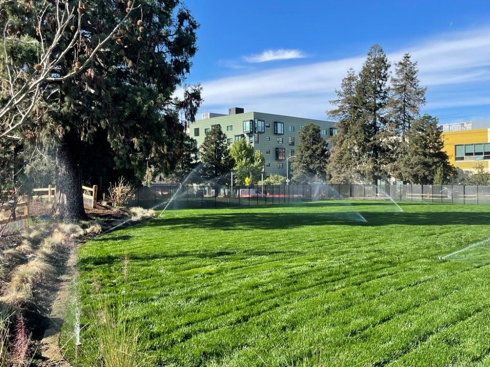 Meadow lawn being watered at Esprit Park