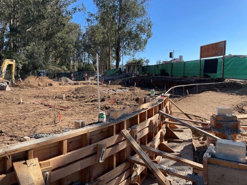 Stern Grove construction November 2024