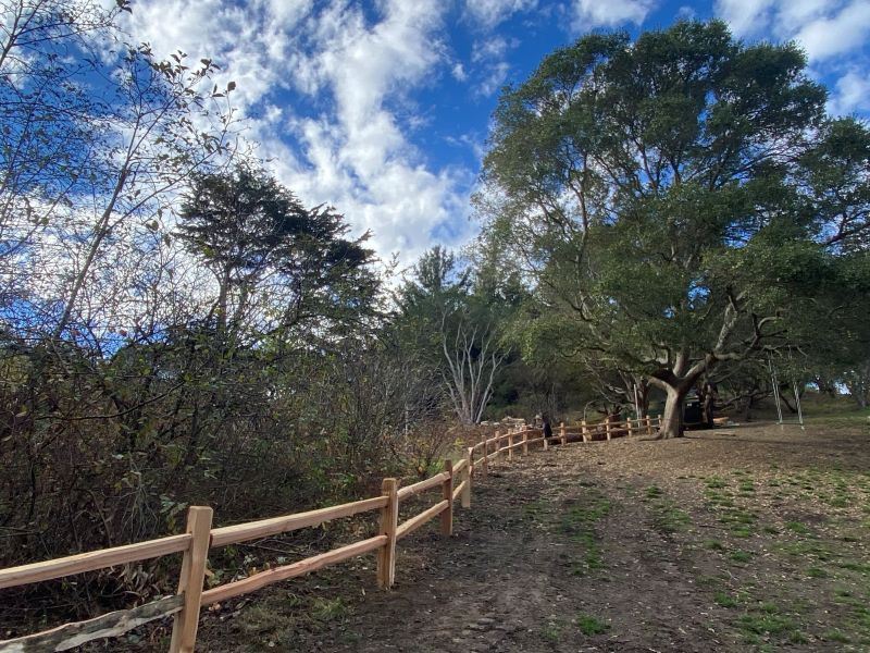 McLaren Trails December 2024 (2)