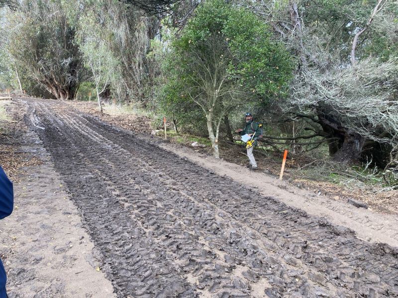 McLaren Trails December 2024 (3)