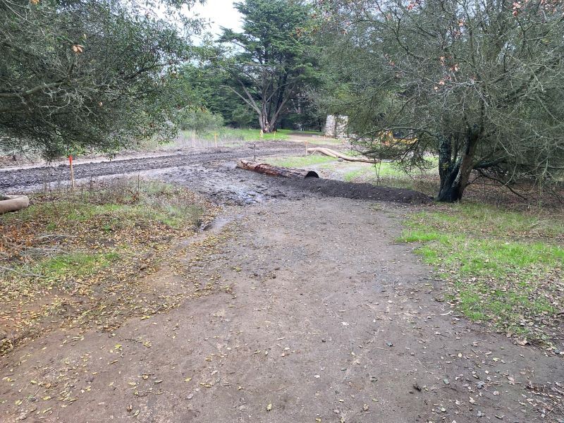 McLaren Trails December 2024 (1)