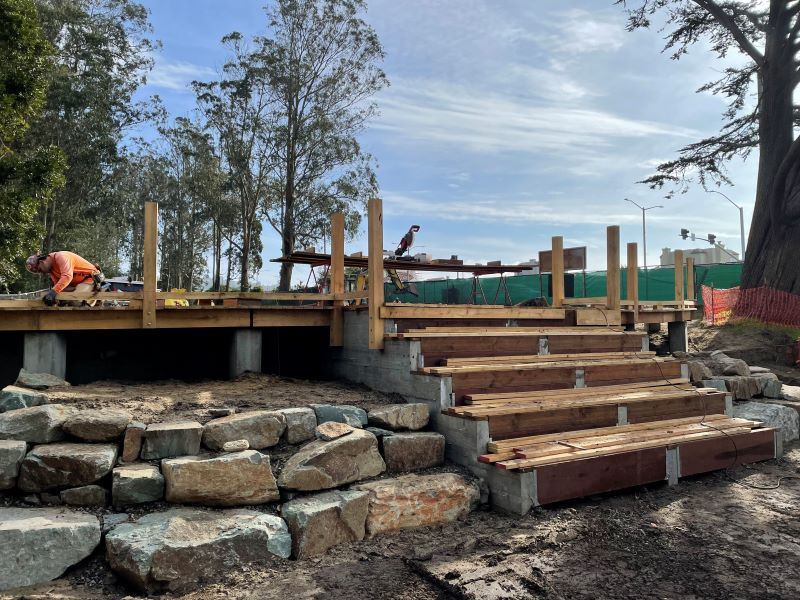 Stern Grove January 2025 (1)