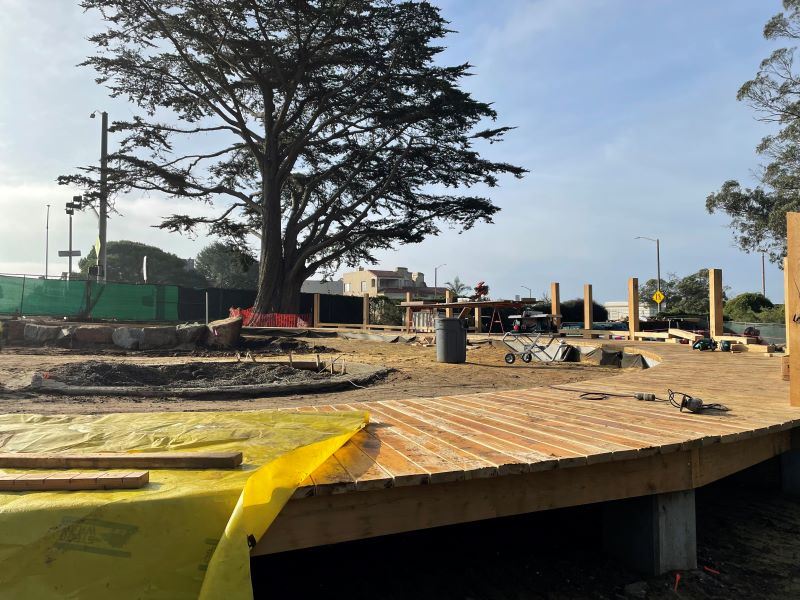 Stern Grove January 2025 (2)