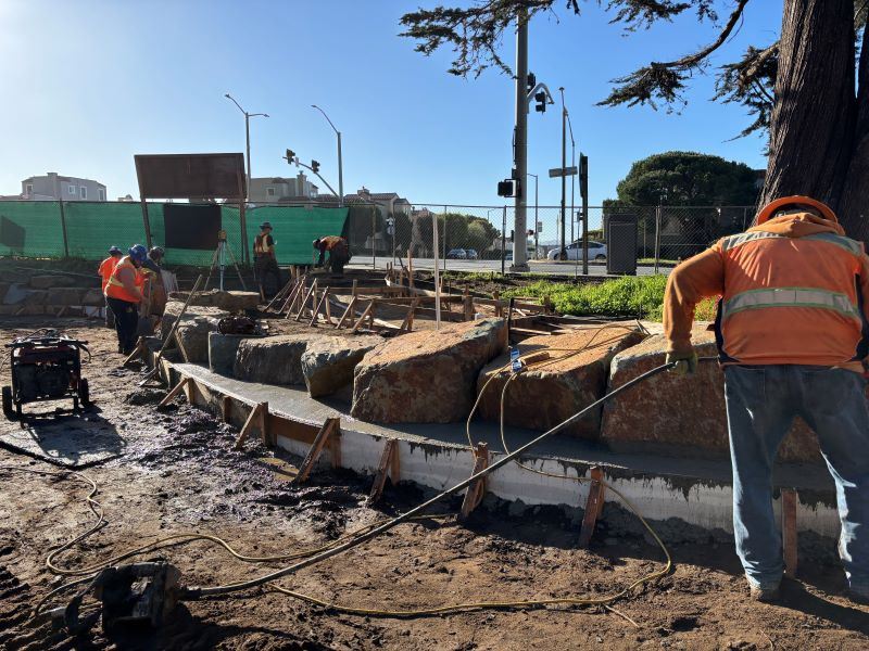 Stern Grove February 2025 (2)