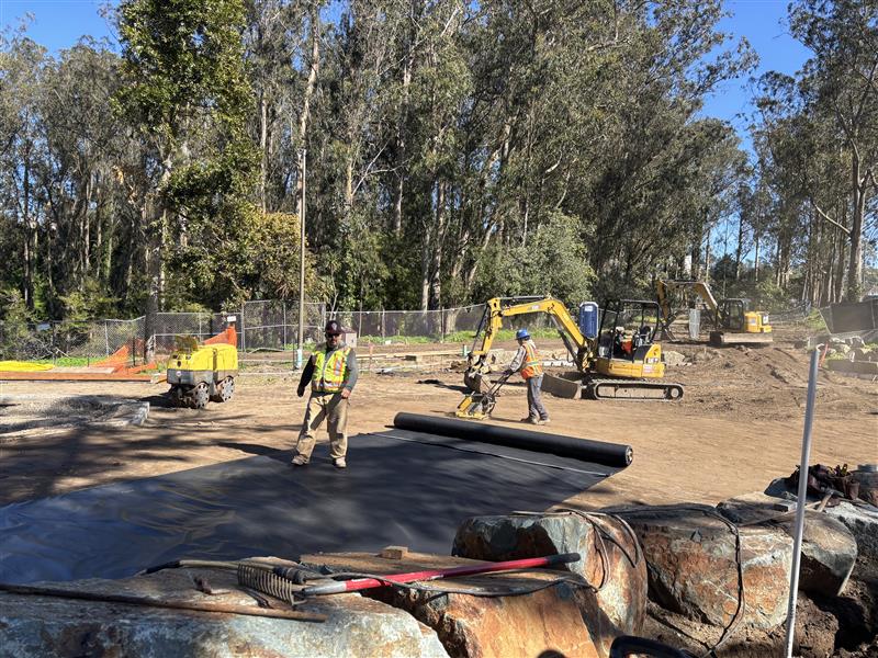 Stern Grove February 2025 (1)