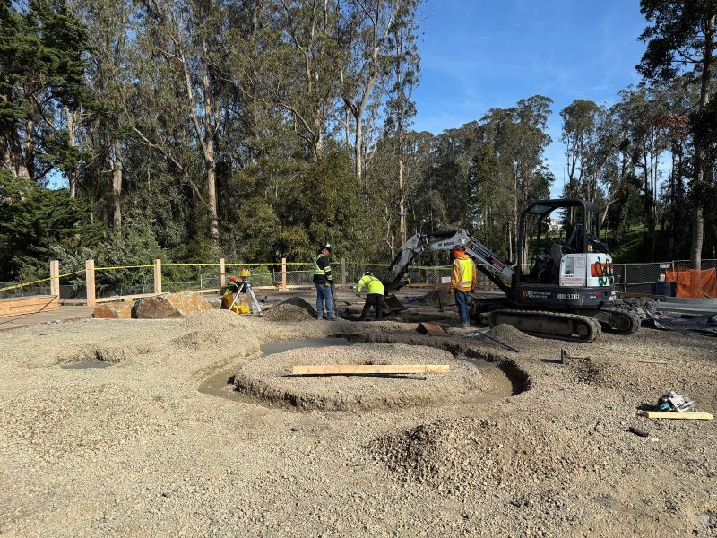 Stern Grove construction March 2025 (1)