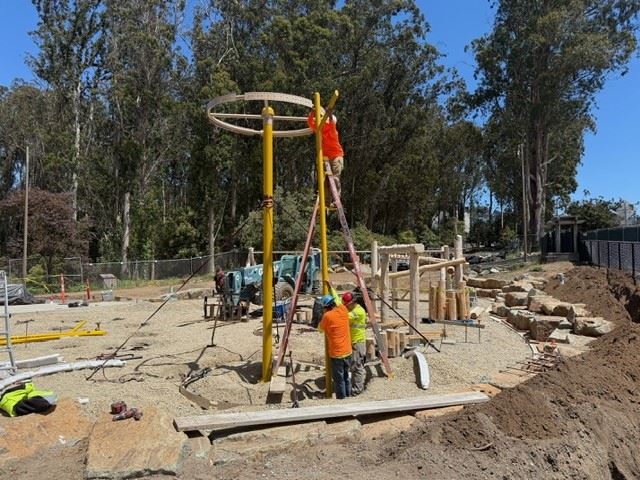 Stern Grove May 2025 (1)