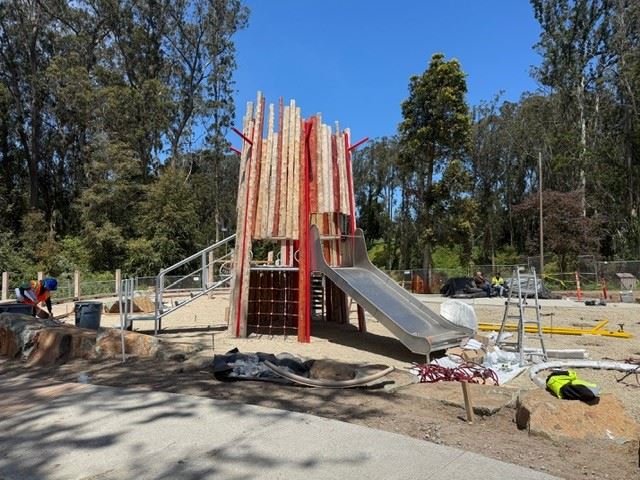 Stern Grove May 2025 (2)