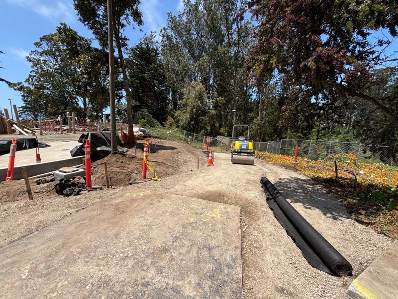 Stern Grove construction June 2025 (1)