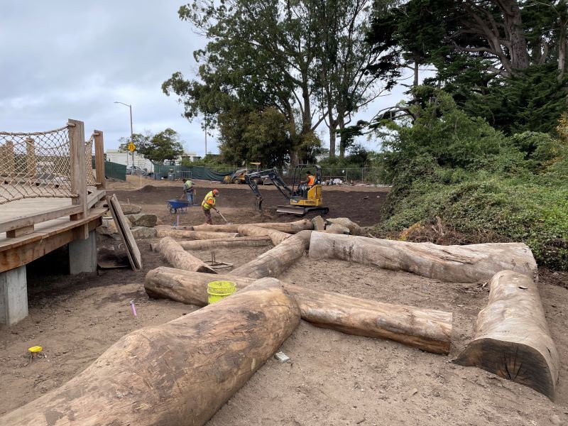 Stern Grove construction July 2025 (1)