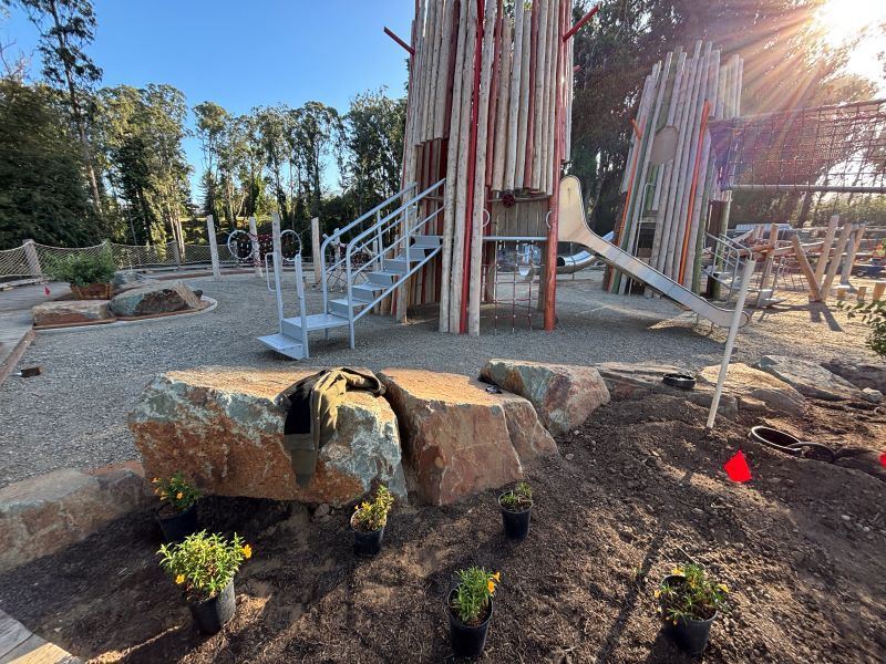Stern Grove construction August 2025 (1)