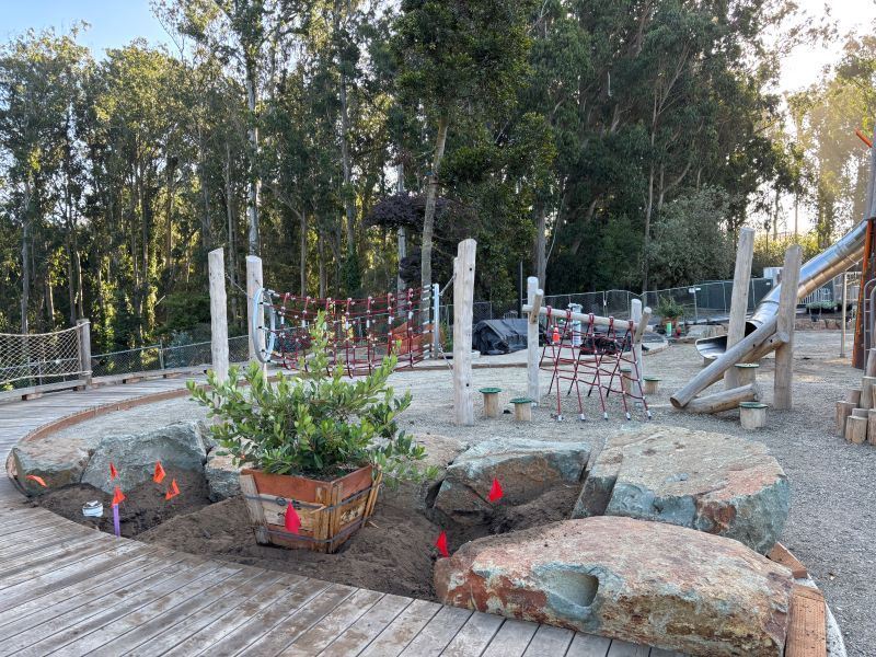 Stern Grove construction August 2025 (2)