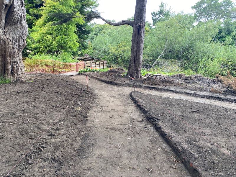 McLaren Trails August 2025 (3)