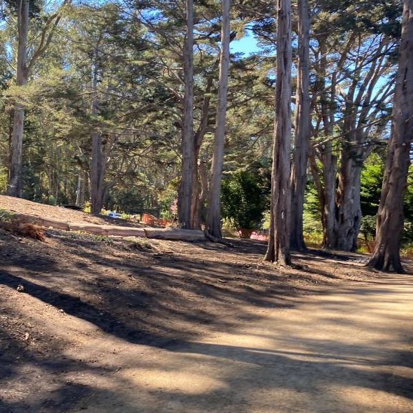 McLaren Trails construction August 2025 (3)