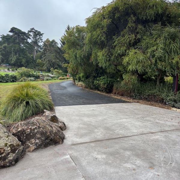 20250909 GGP Botanical Garden construction September 2025 (3)