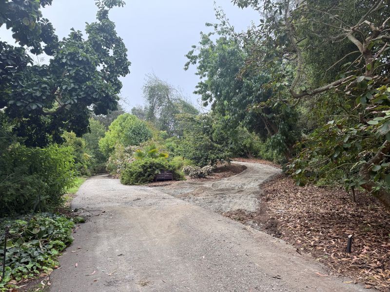 GGP-BG construction September 2025 (2)