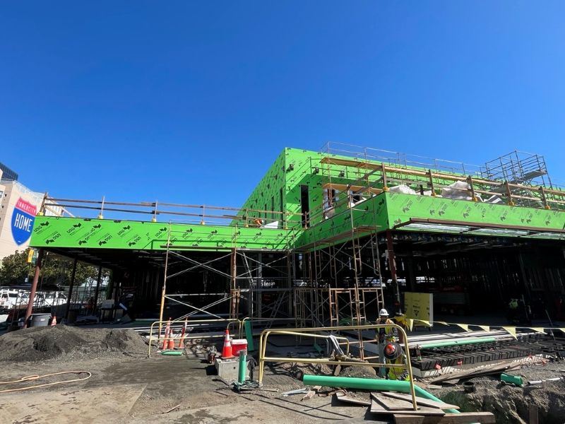 Gene Friend construction October 2025 (1)