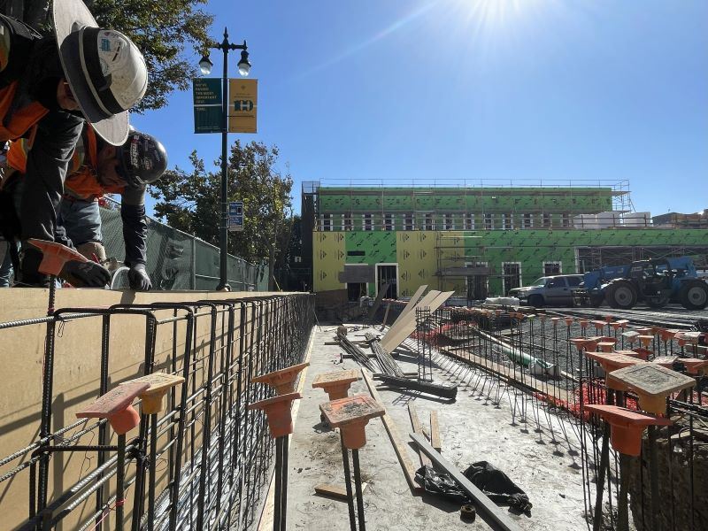 Gene Friend construction October 2025 (2)