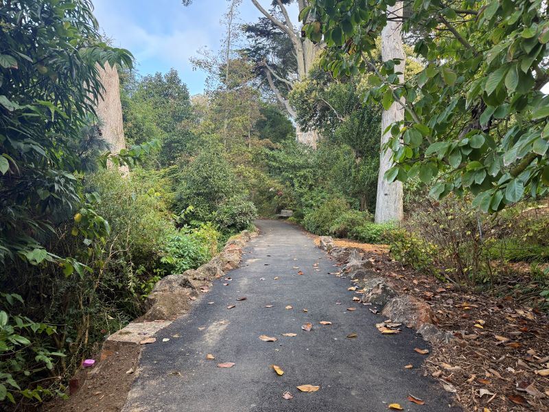 Golden Gate Park Botanical Garden construction November 2025 (2)